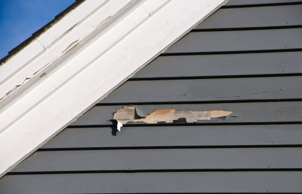 Best Wood Siding Installation  in USA