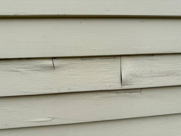 Best Storm Damage Siding Repair  in USA